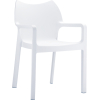 Siesta Diva Arm Chair - Image 3