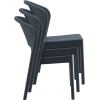 Siesta Daytona Chair - Image 7