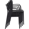 Siesta Lisa Arm Chair - Image 6