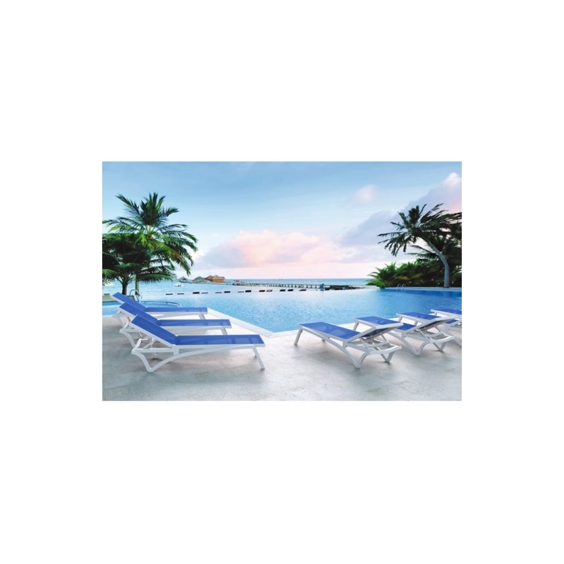 Pacific Sunlounger - Image 11