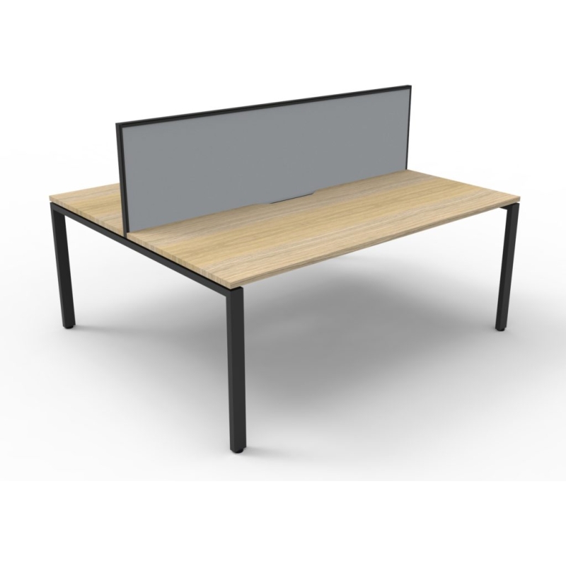 Deluxe Profile Leg Double Workstation With Screen