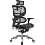 Ergo 1 Mesh Executive Chair