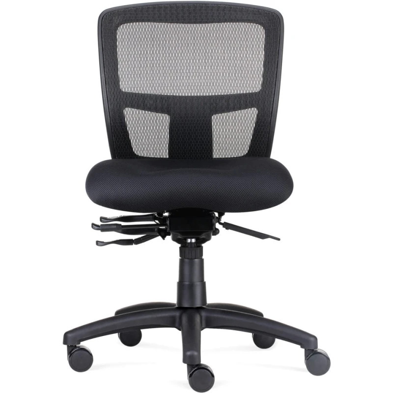 Ergo Mesh Office Chair