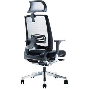 Alternative view of Evita Mesh Executive Chair