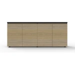 Infinity Swing Door Cupboard