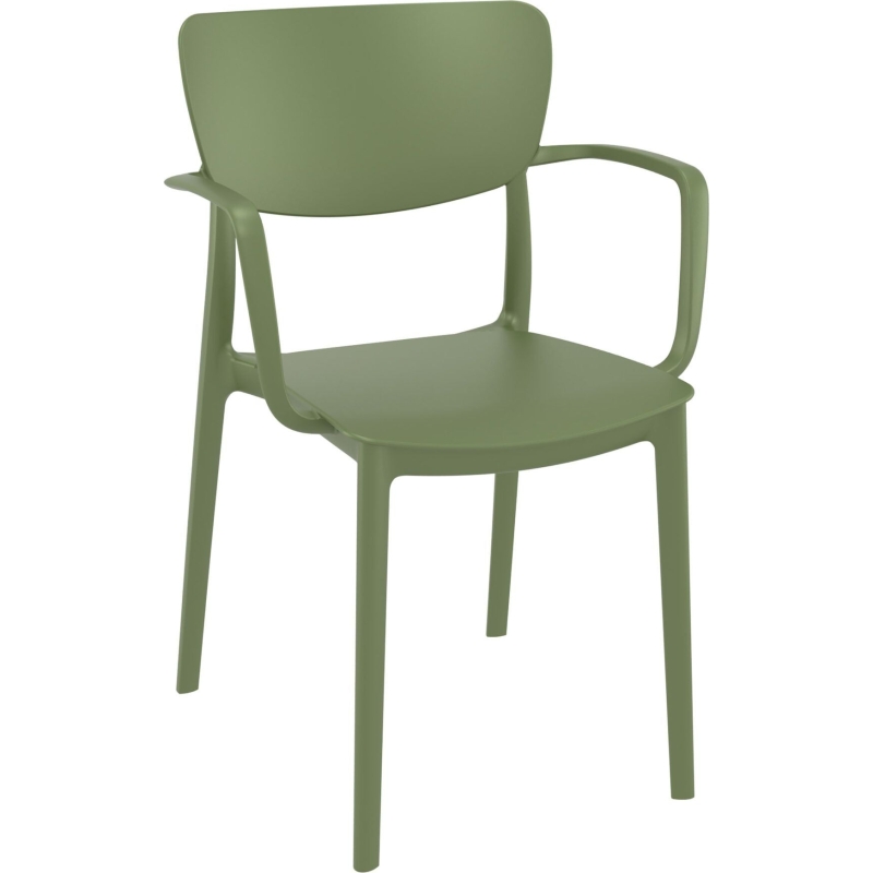 Siesta Lisa Arm Chair - Image 5