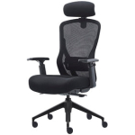 Mitz Executive Mesh Chair