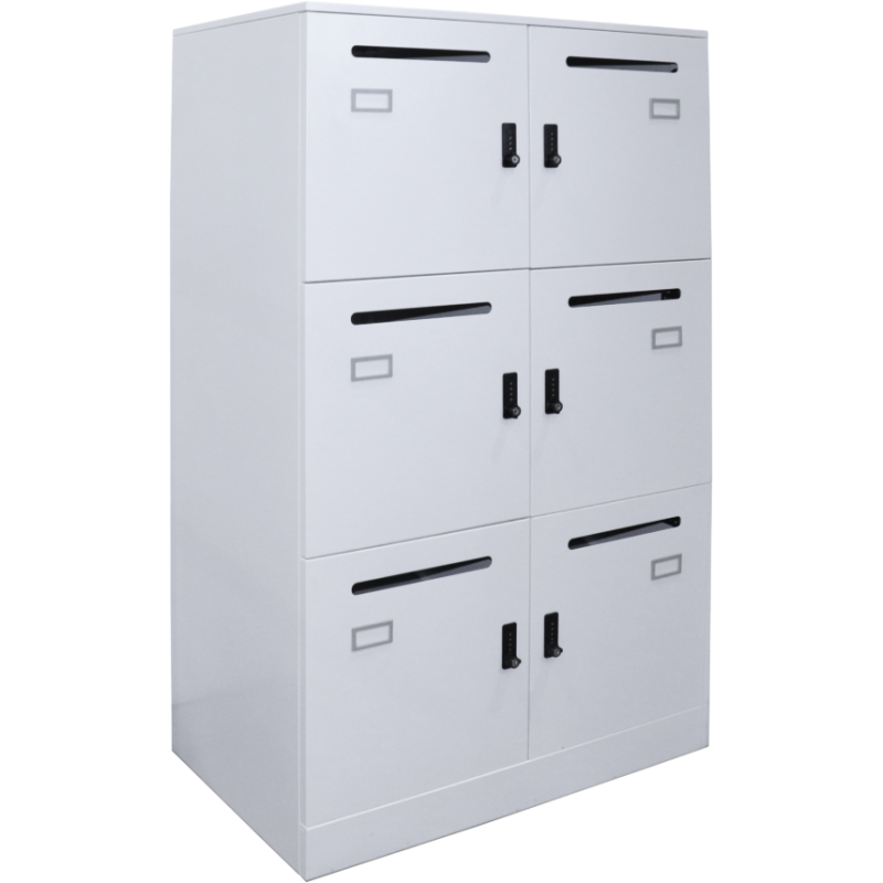 Office Locker 6 Door