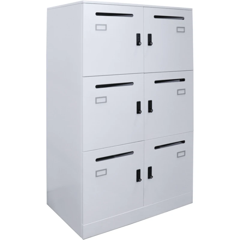 Office Locker 6 Door