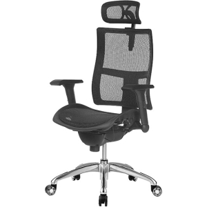 Alternative view of Zodiac Mesh Executive Chair