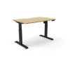 boost light electric sit stand desk