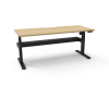 boost light electric sit stand desk