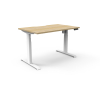 boost light electric sit stand desk