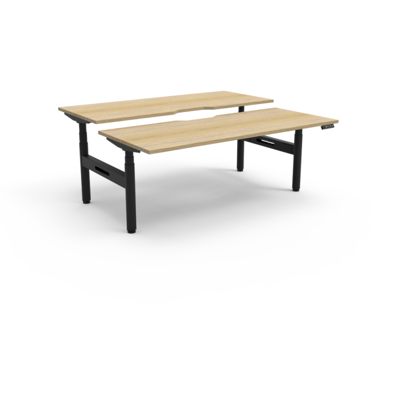 halo+ back to back workstation