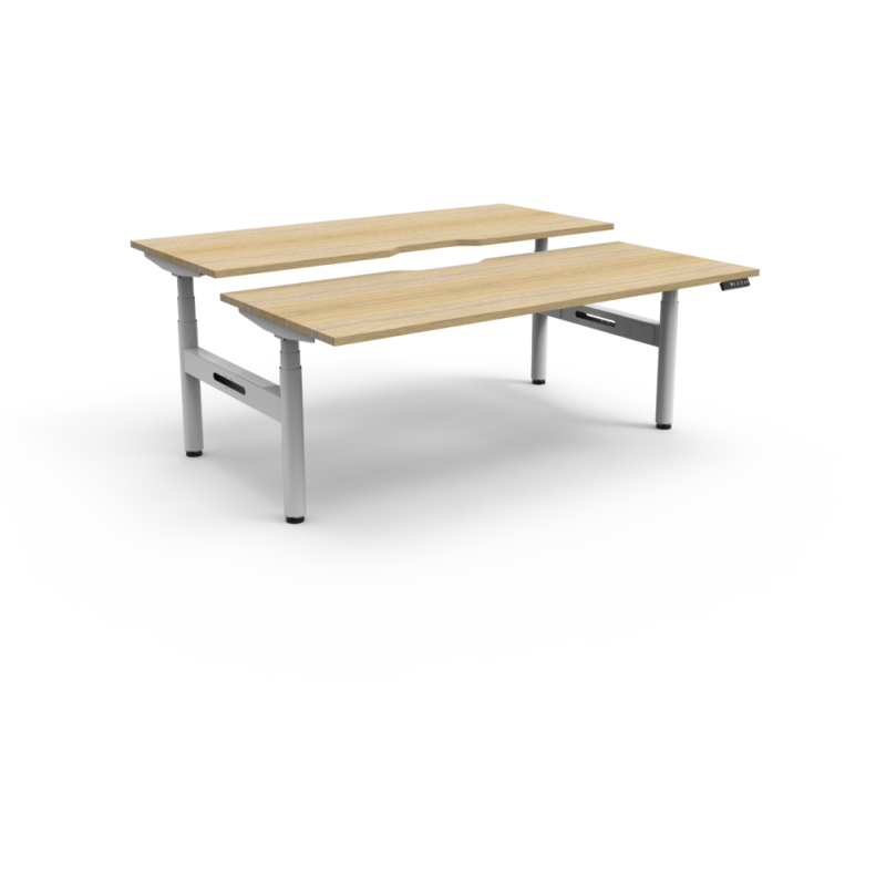 halo+ back to back workstation