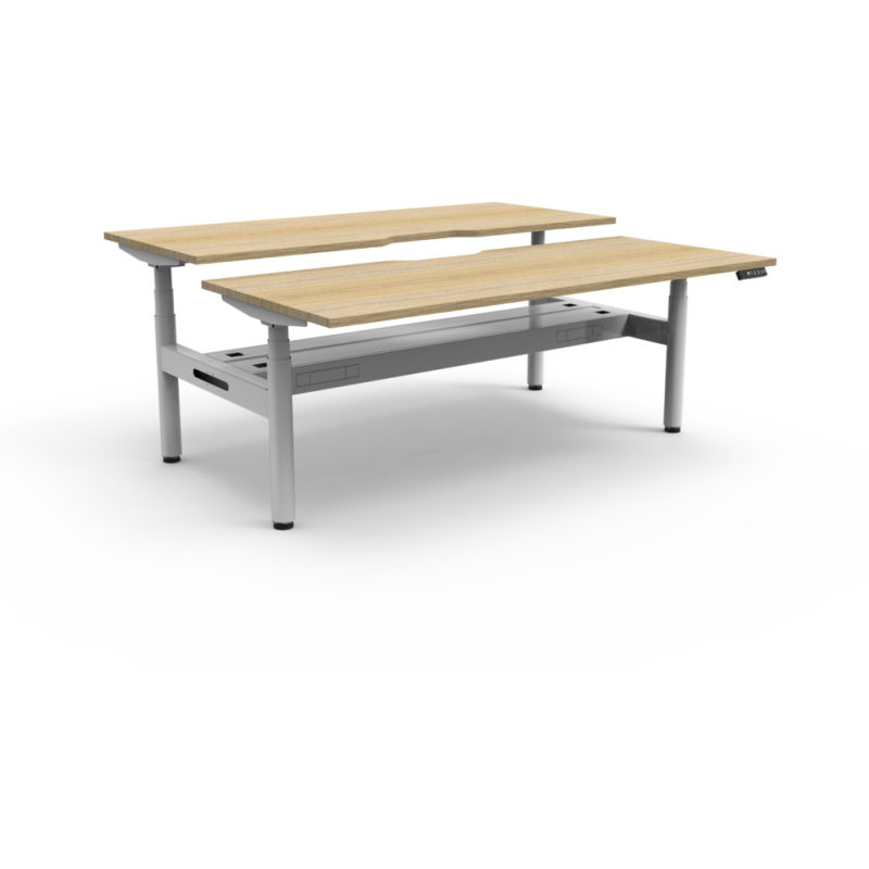 halo+ back to back workstation