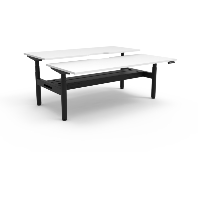 halo+ back to back workstation