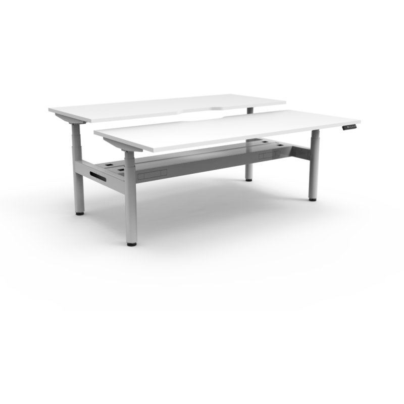 halo+ back to back workstation