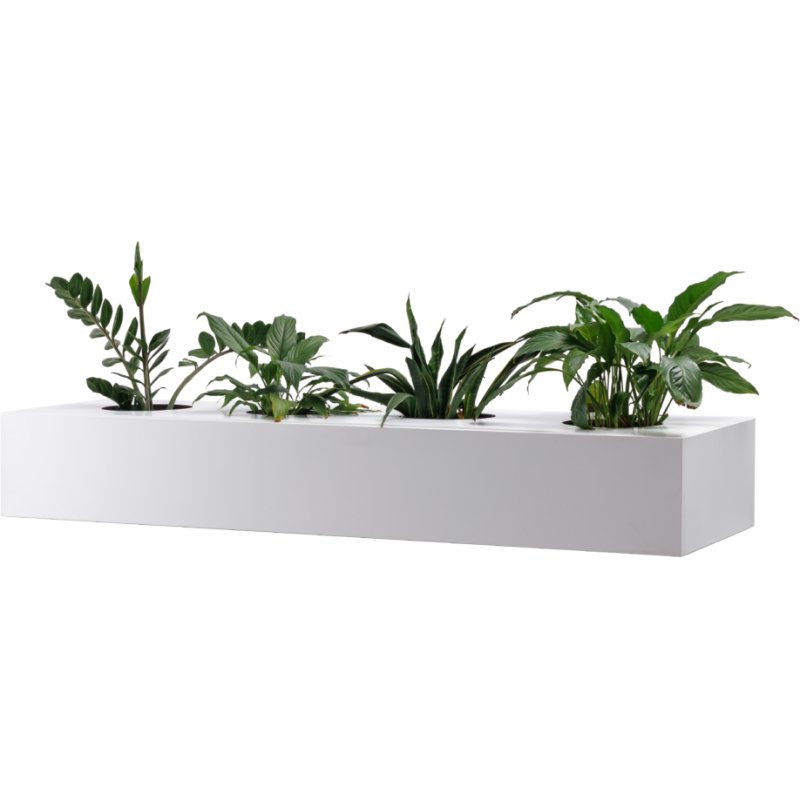 planter box for perforated cupboard