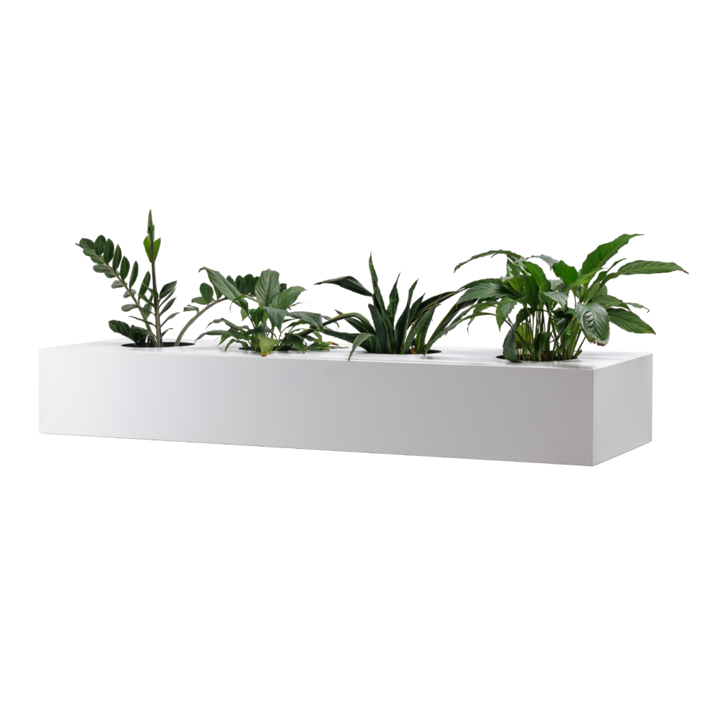 planter box for perforated cupboard