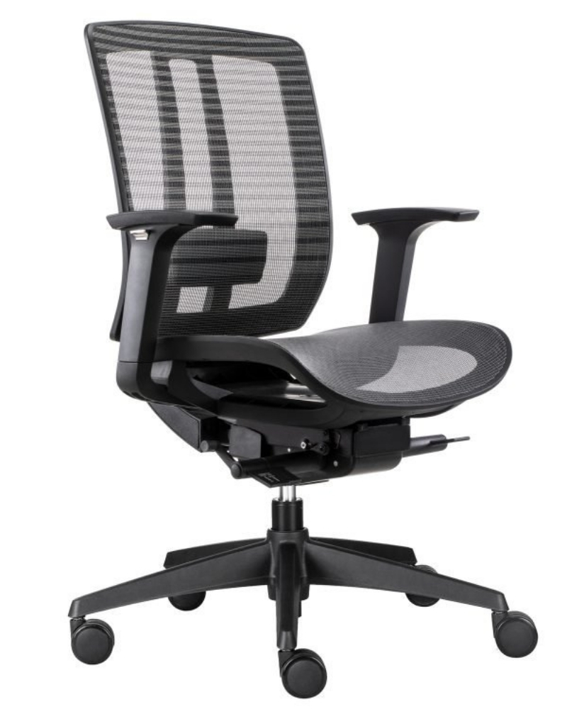Mesh Office Chairs