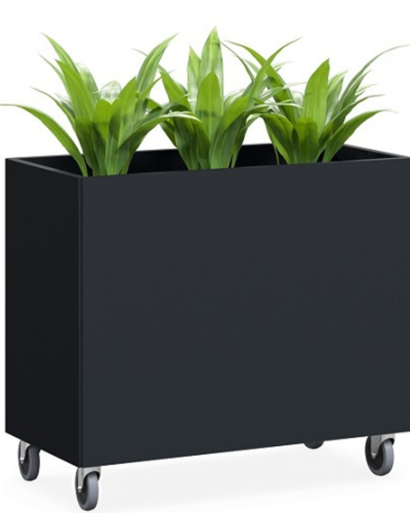 Office Planters