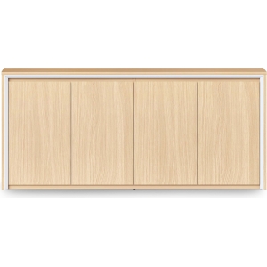 casa swing door cupboard